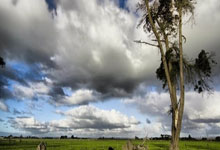 开云体育登录-郑州大学城被对手逆转，遗憾失利