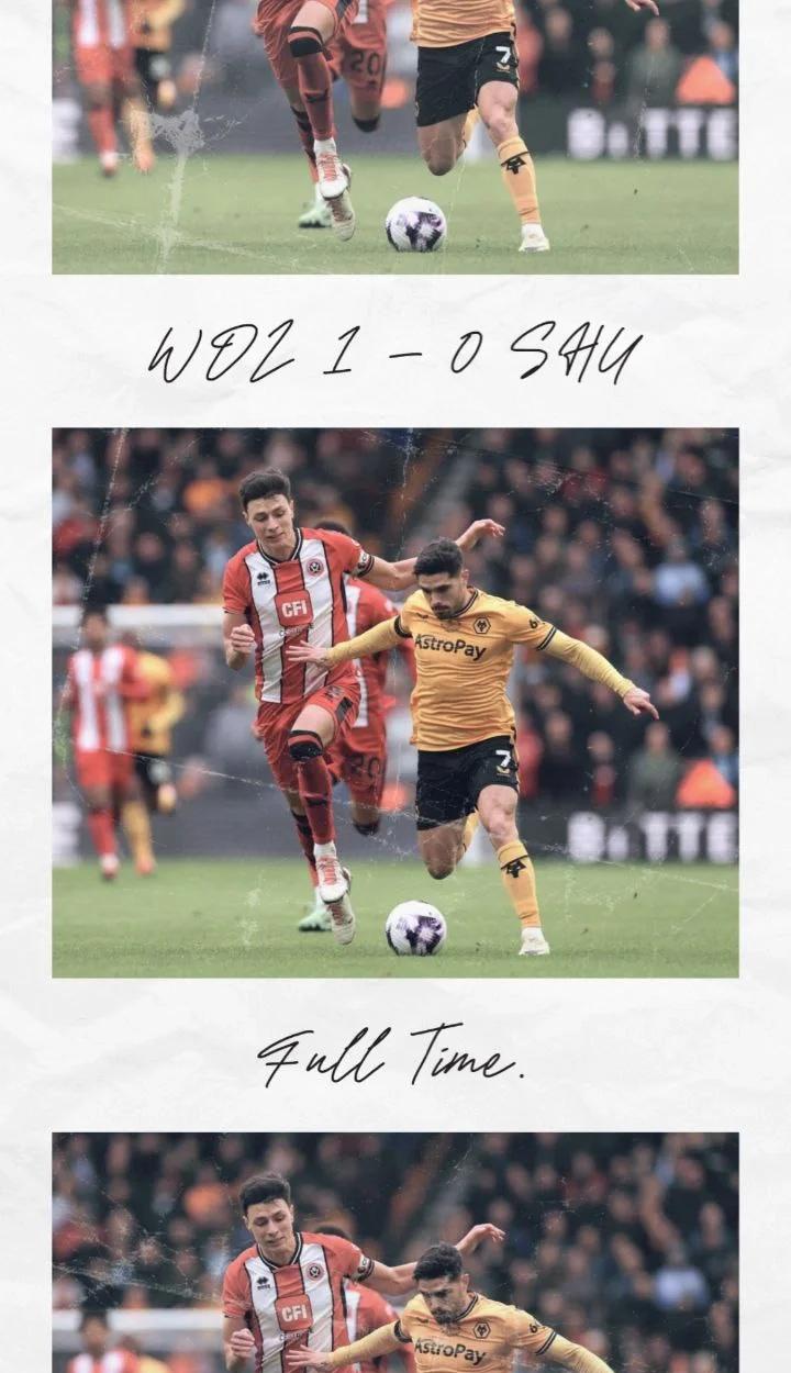 哥伦比亚前锋破门，协助狼队主场取胜