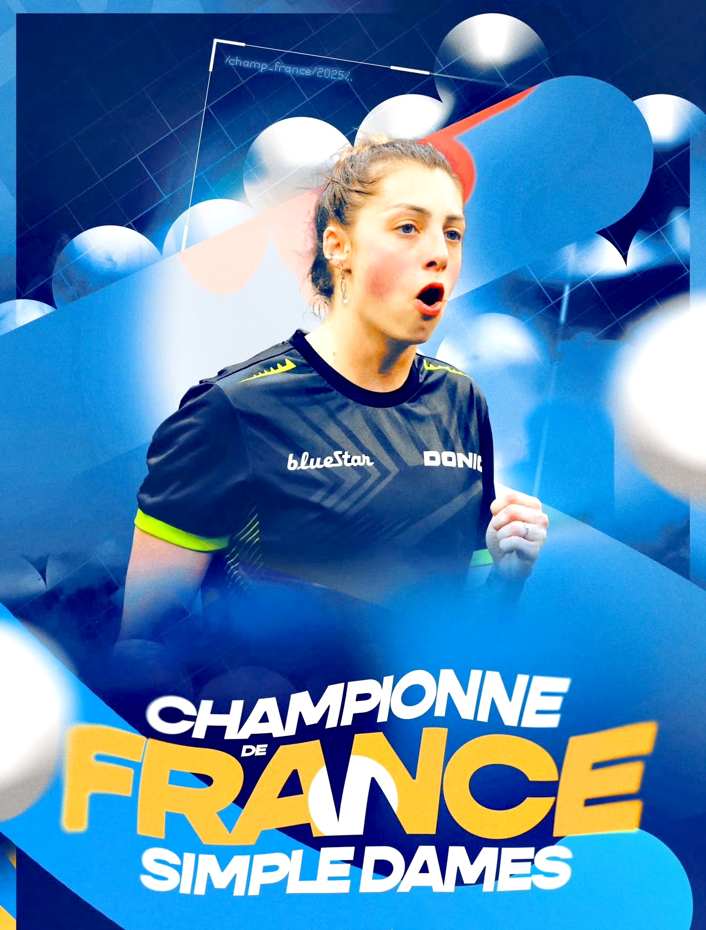 法国队夺得欧洲篮球锦标赛冠军,实现历史性突破的简单介绍 法国队夺得欧洲篮球锦标赛冠军,实现历史性突破的简单介绍