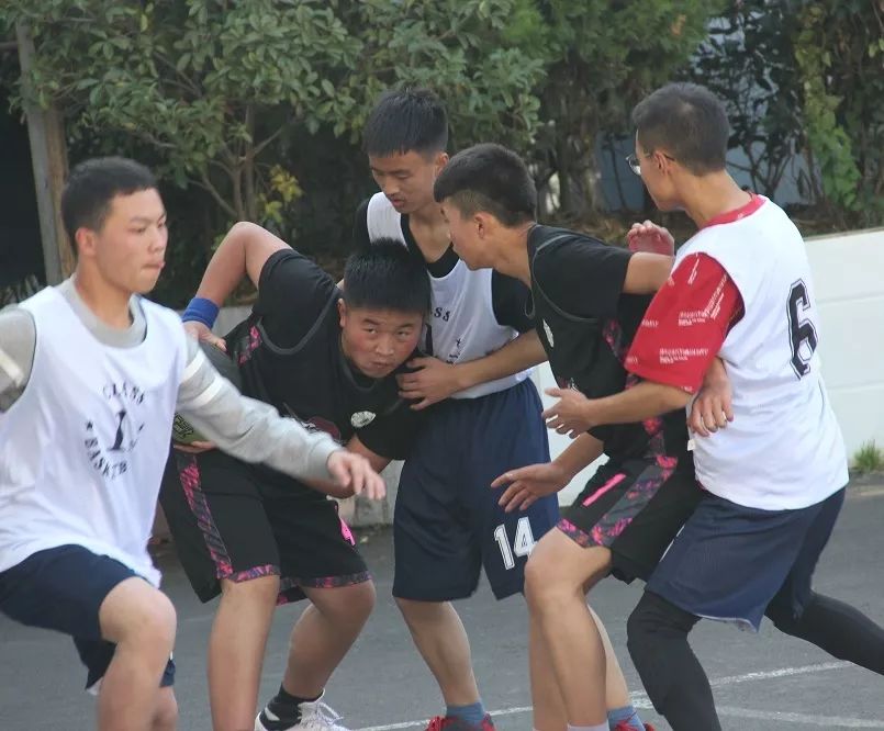 球队团结合作在比赛中赢得尊重