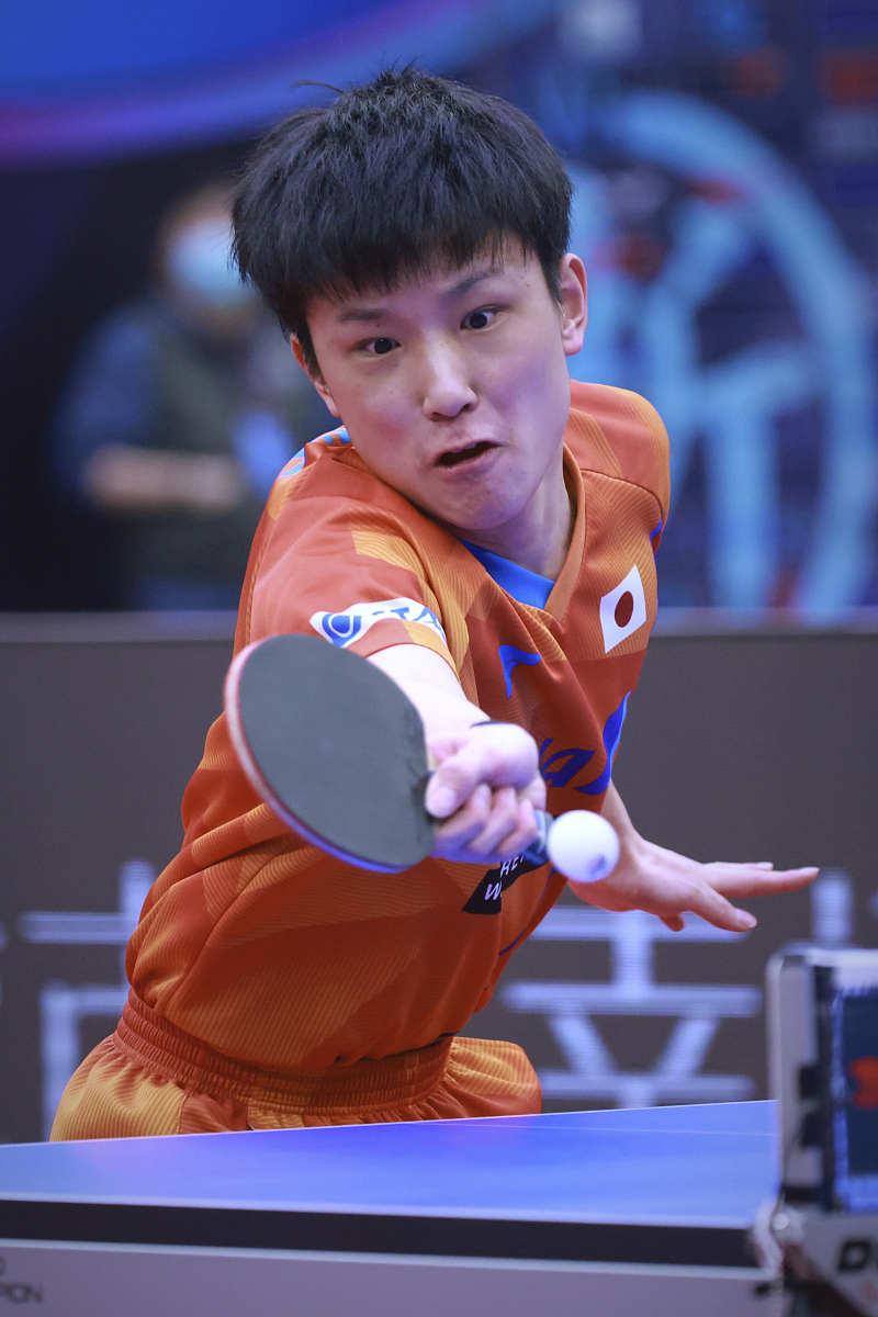 波兰乒乓球队血洗法国乒乓球队，张本智和送出助攻的简单介绍